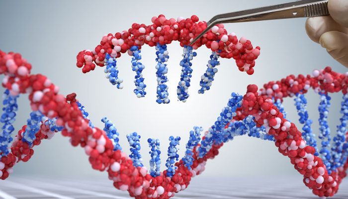 crispr cas9 gene editing
